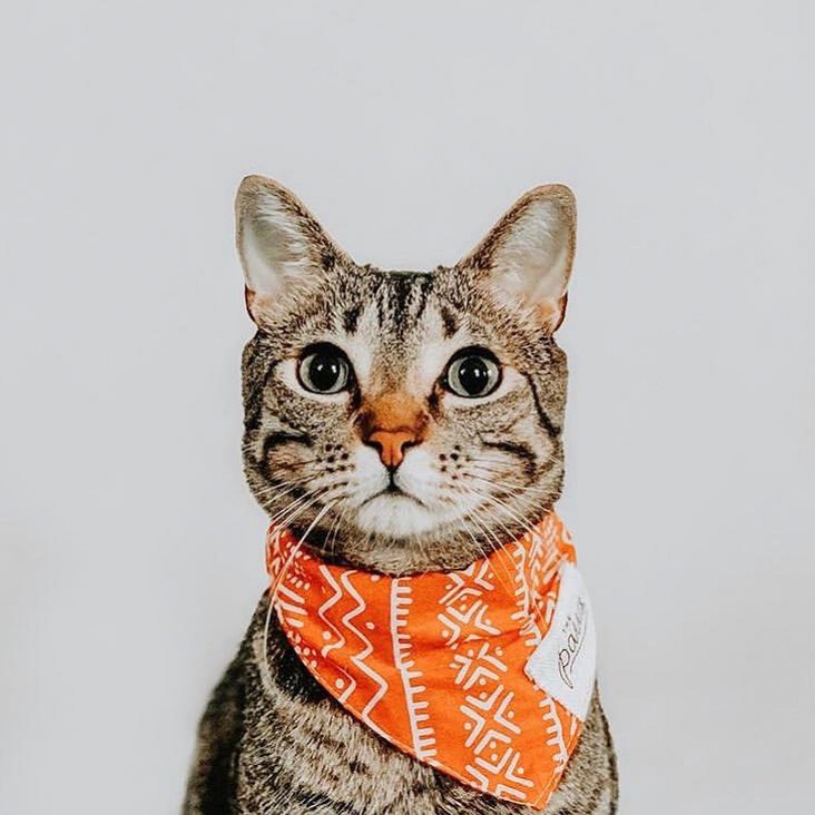 Mali Bandana