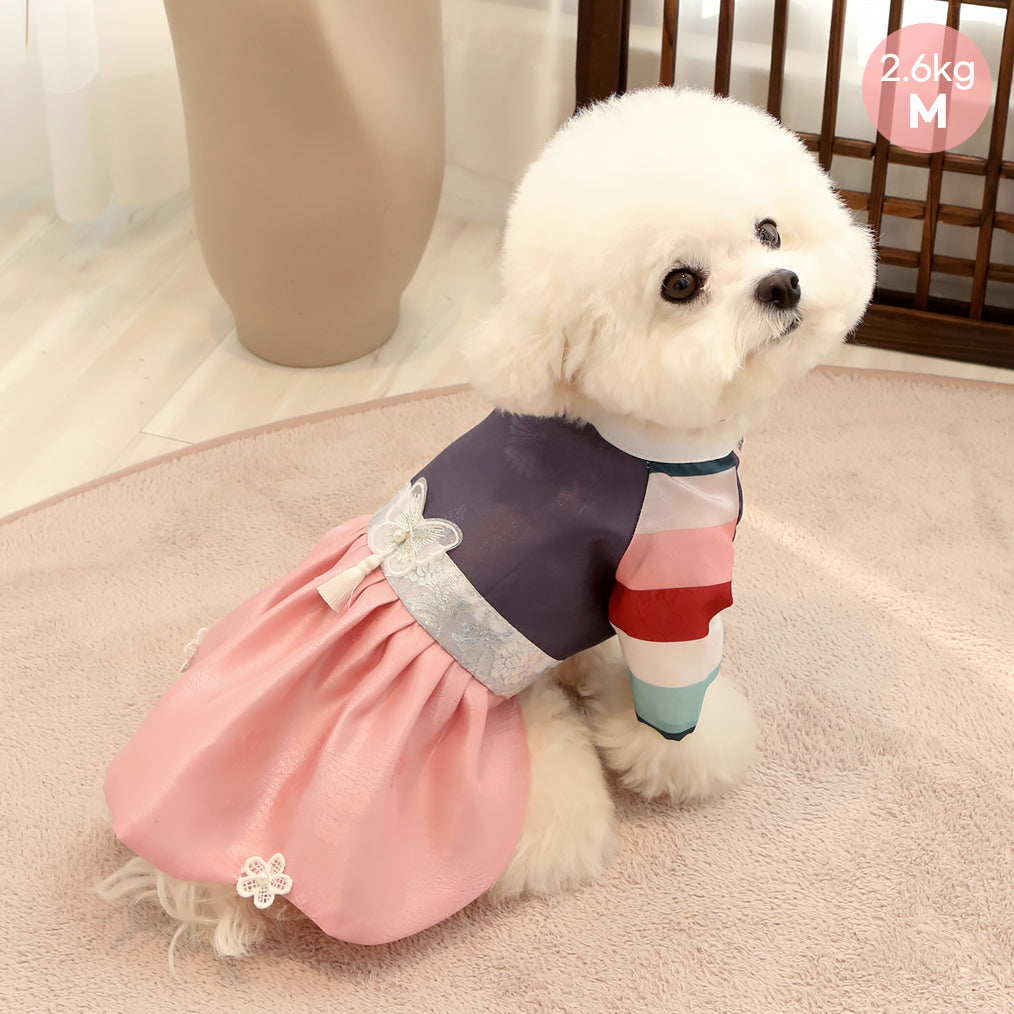 Ayun Princess Hanbok