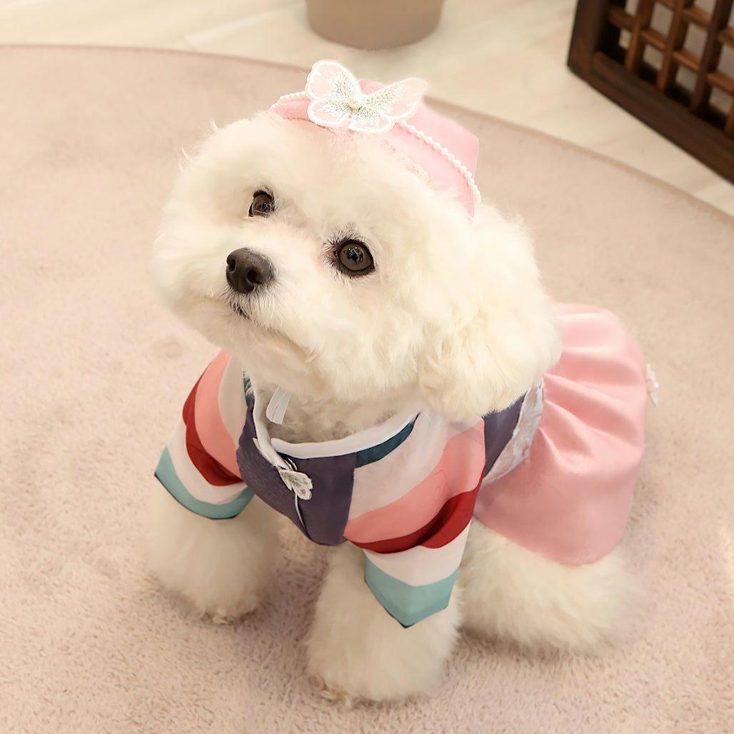 Ayun Princess Hanbok