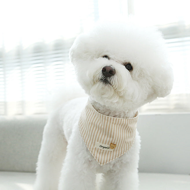 Organic Cotton Bandana