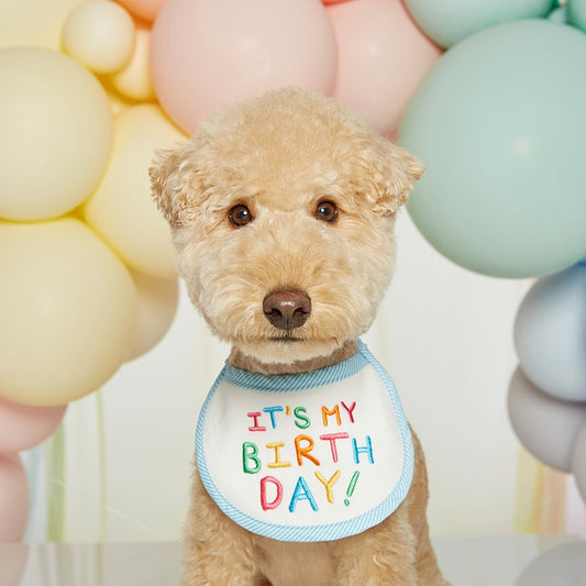 Birthday Bib
