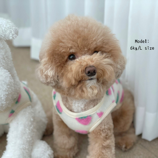 Strawberry Vest Cardigan