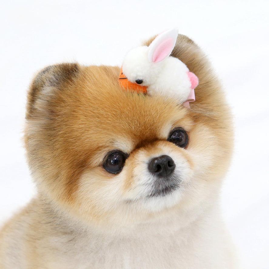 Carrot Bunny Hairpin