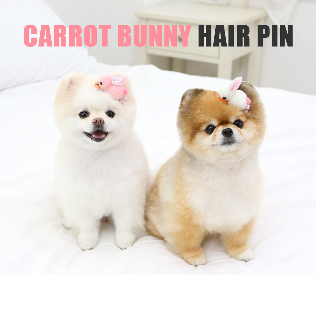 Carrot Bunny Hairpin