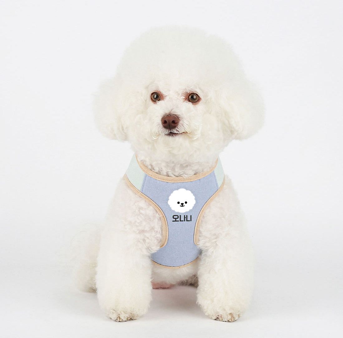 Basic Custom Harness