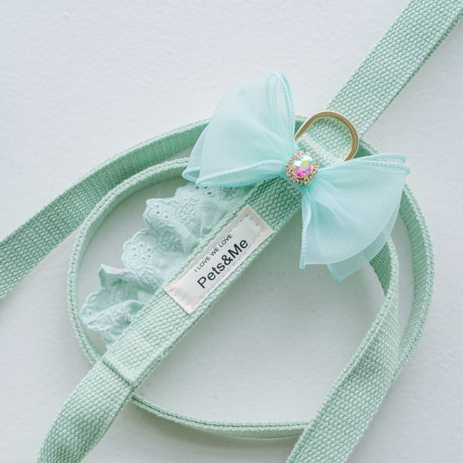 Leash (Pair with Punching Lace Harness)