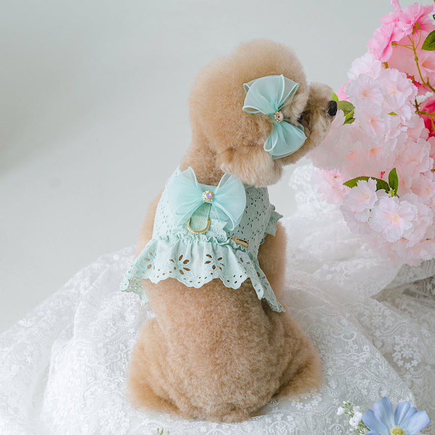 Punching Lace Harness (7 colors)