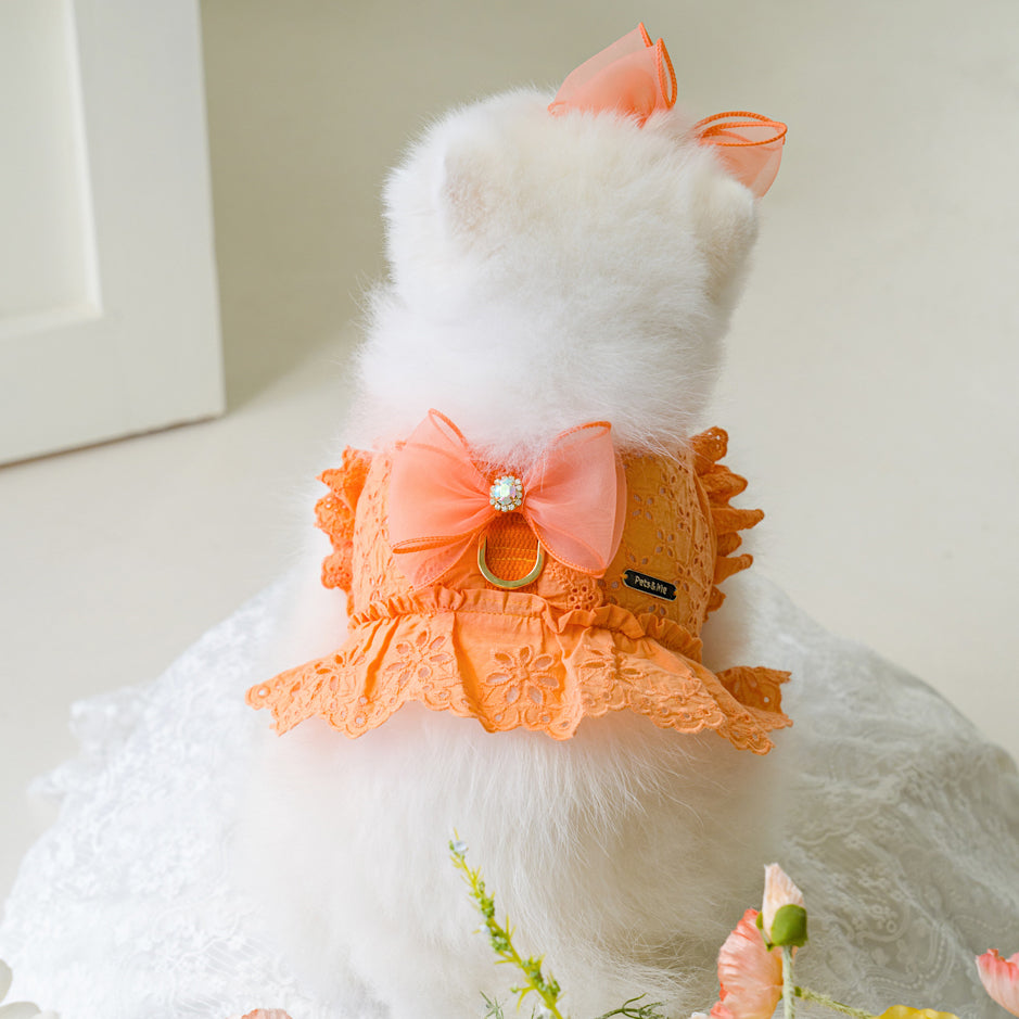 Punching Lace Harness (7 colors)