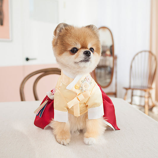 Coco Princess Hanbok