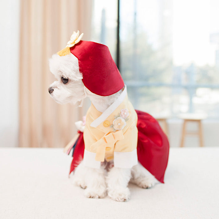 Coco Princess Hanbok