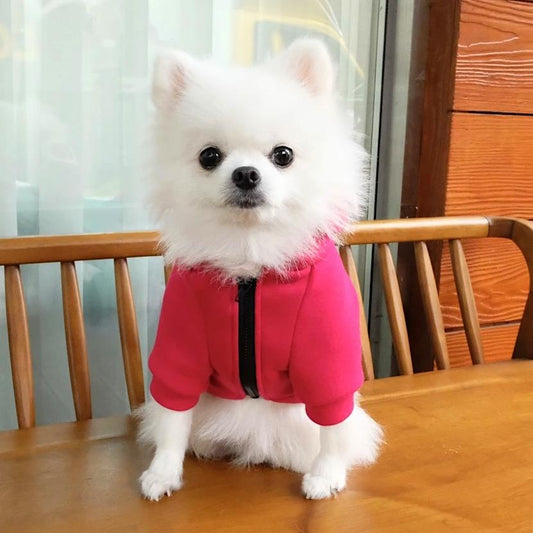 Squid Game Manager Jacket