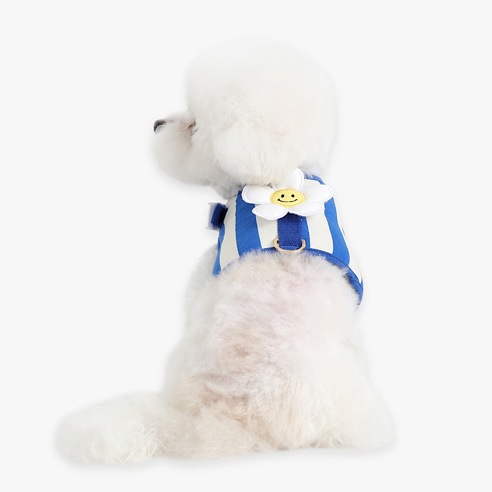 Smile Daisy Harness