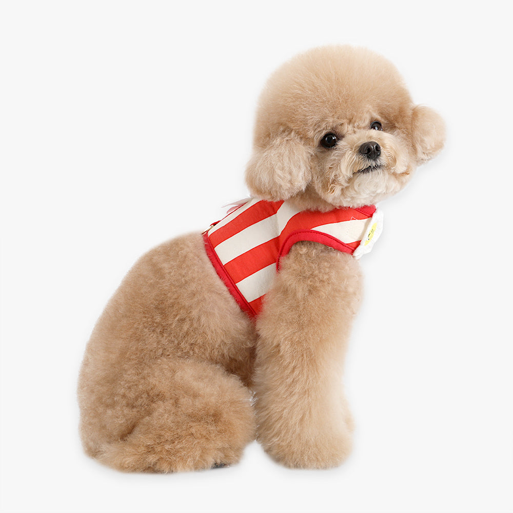 Smile Daisy Harness