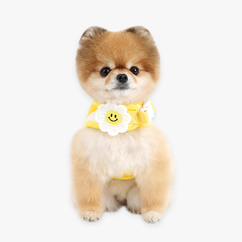 Smile Daisy Harness