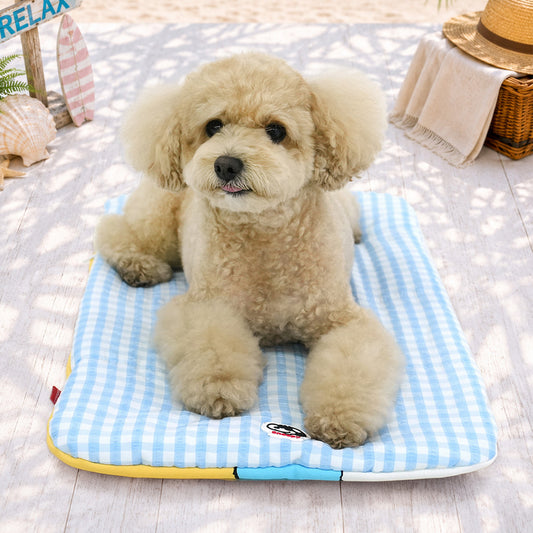 Snoopy Multi Cooling Cushion (Beach) | Snoopy多用途涼感冰墊 (沙灘款) | 寵物車墊 | 可家中使用 | 附送冰包