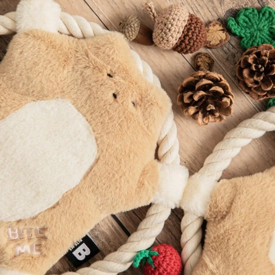Flying Squirrel Toy