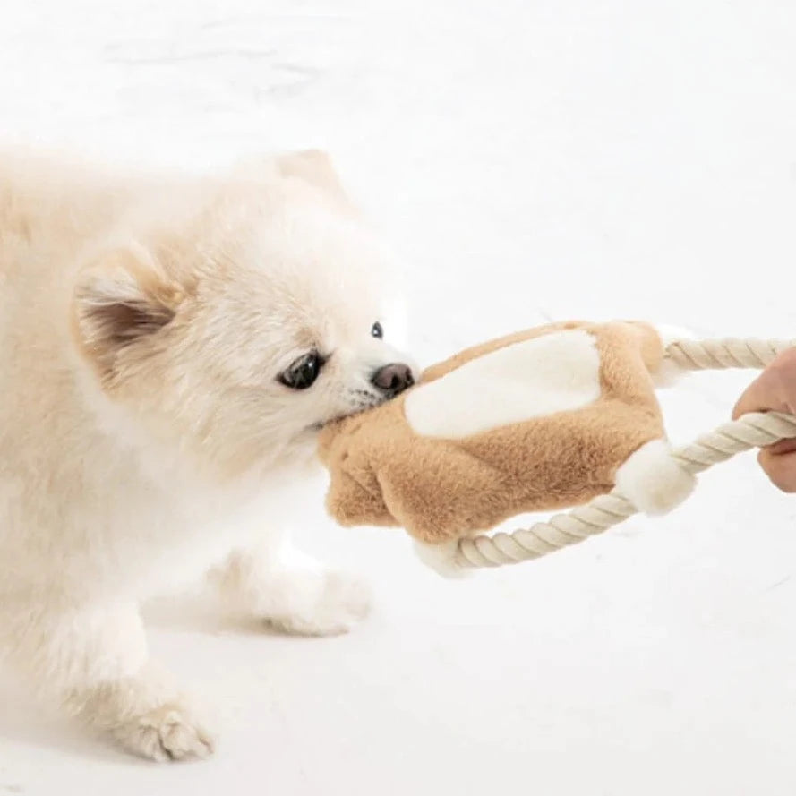Flying Squirrel Toy