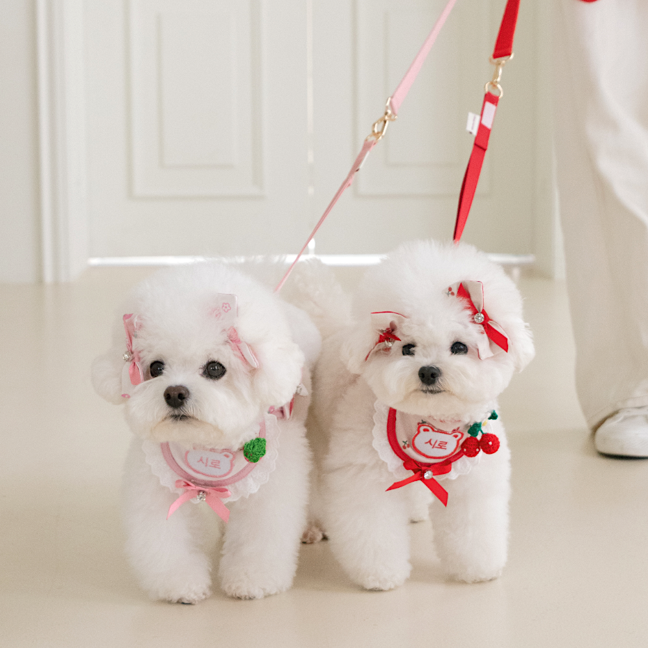 Dear Bow Hairpin | For paring with Hug Harness