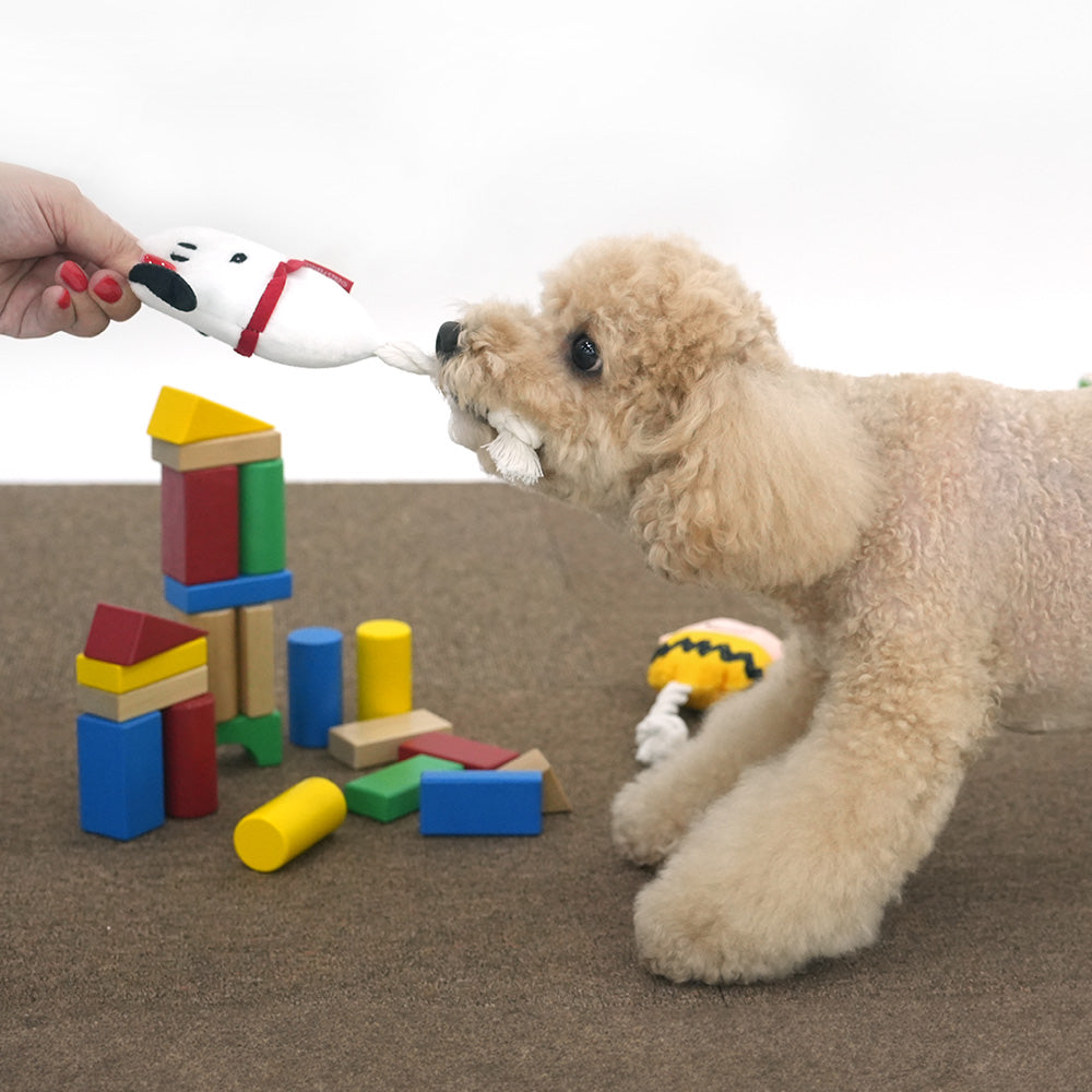 Snoopy Egg Rope Toy 蛋型玩具