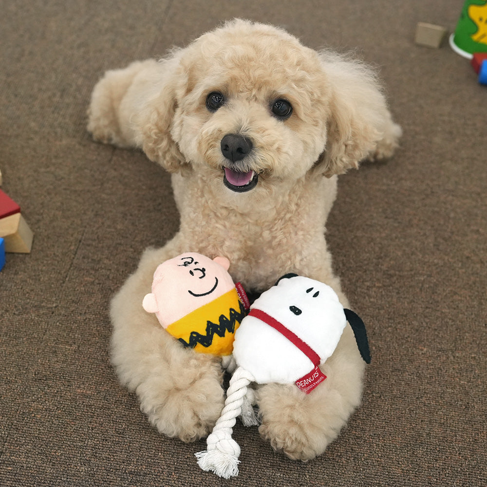 Snoopy Egg Rope Toy 蛋型玩具