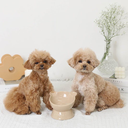 Bear-Shaped Elevated Ceramic Pet Bowl