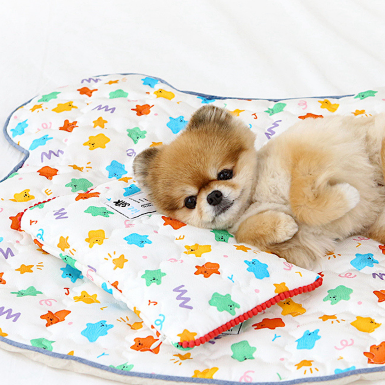 Jelly Bear Ice Pack Pouch (Ice Pack Included!) – PAW-EVER