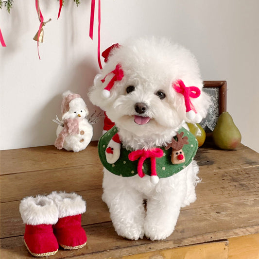 Dots Xmas Cape | Reversible (Green)