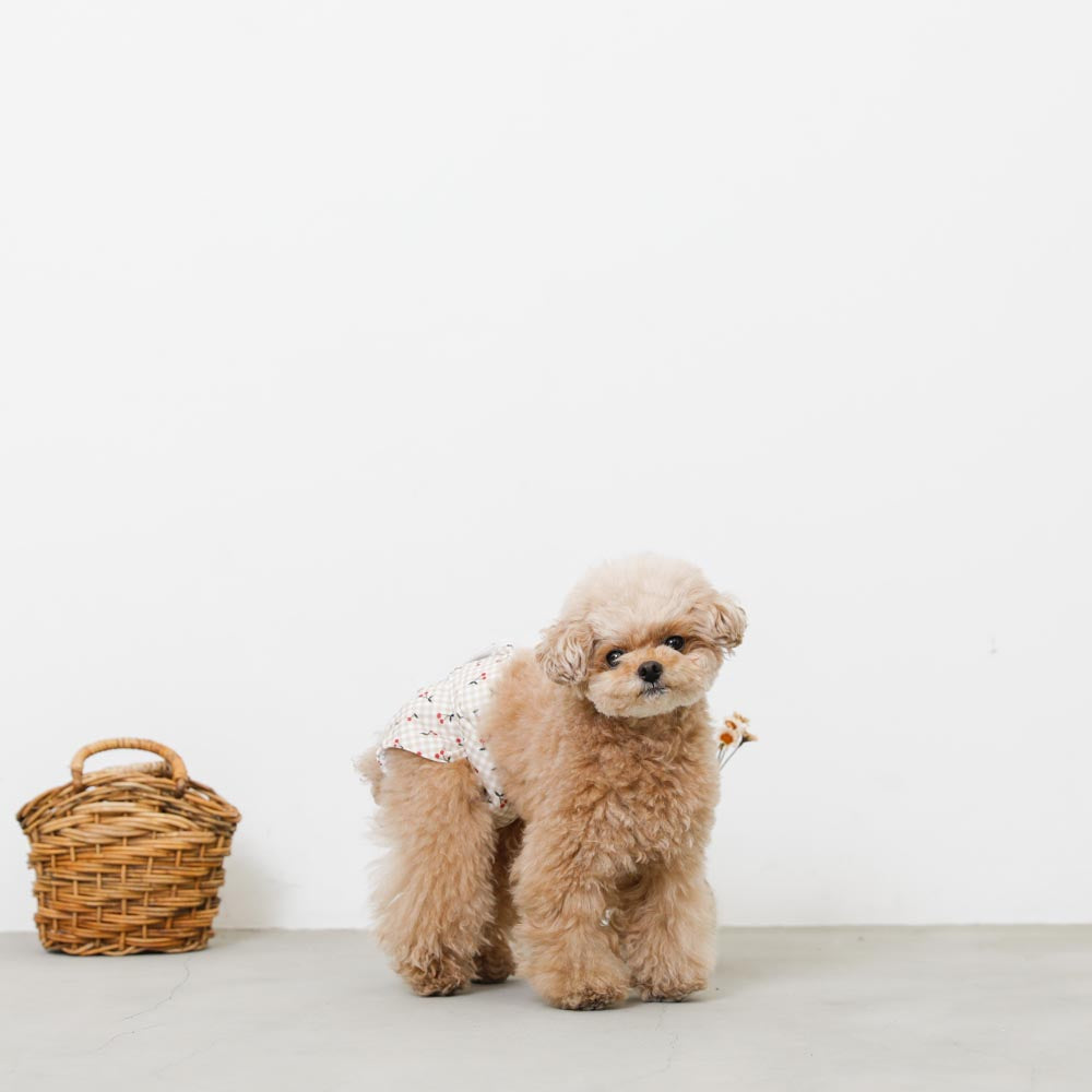 Dog Sanitary Pants (Cherry Check)