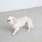 Dog Sanitary Pants (Cherry Check)