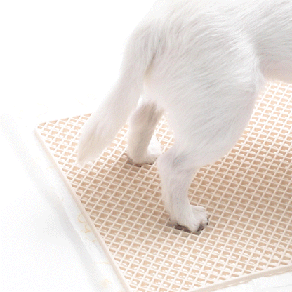BITE ME | Zero Guard Mat | Anti-Shred & Dry-Paw Pee Pad Mat