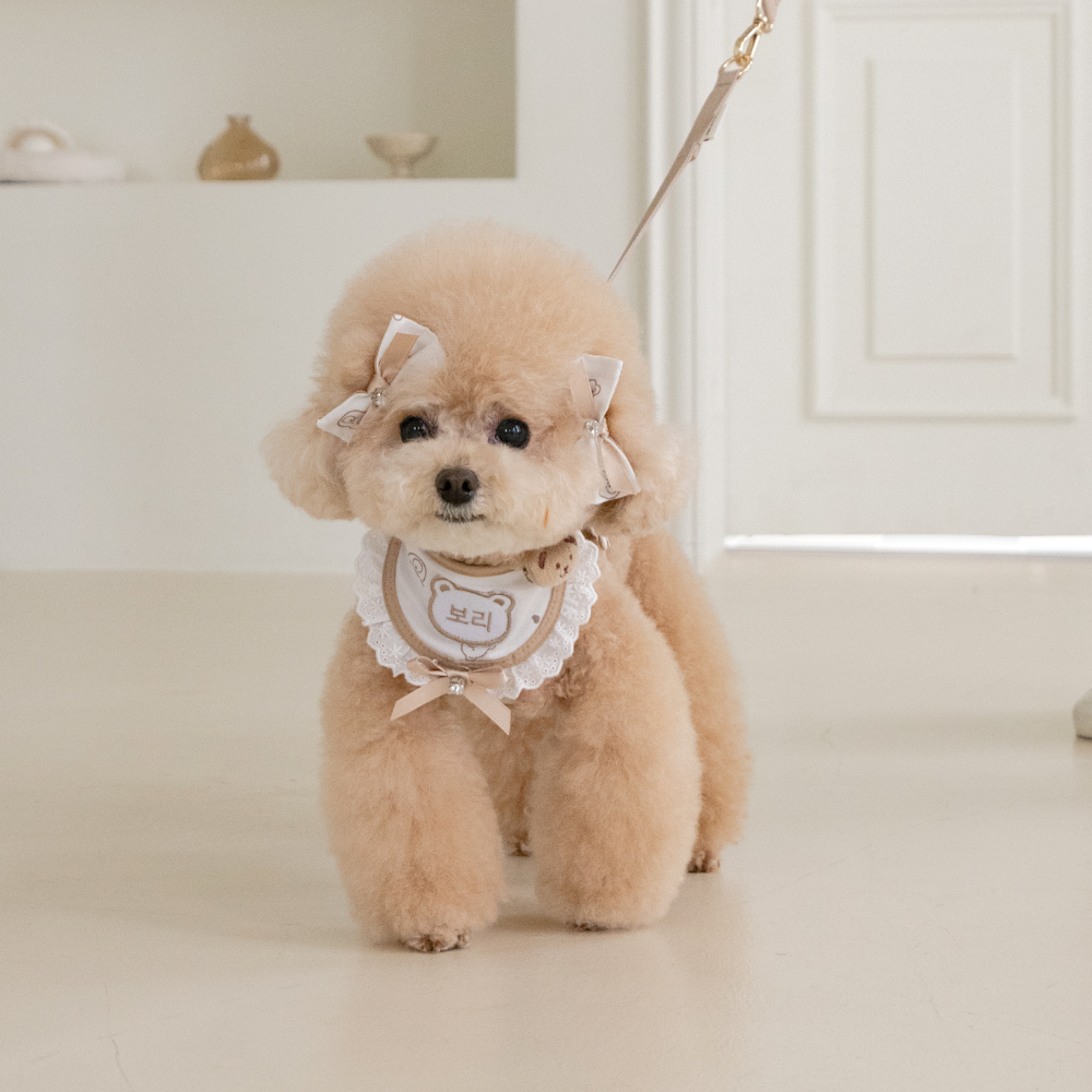 Hug Harness | Custom Name