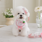 Hug Harness | Custom Name