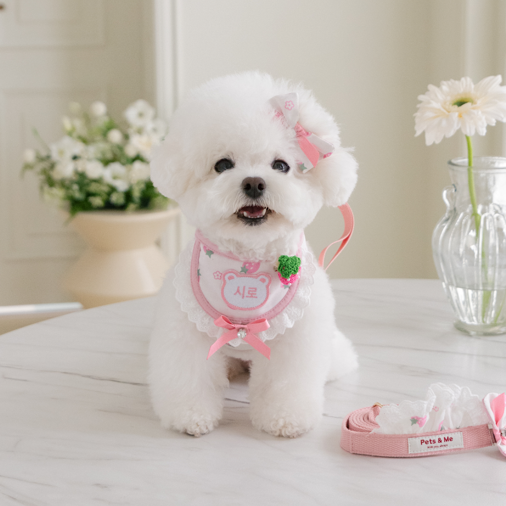 Hug Harness | Custom Name