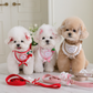 Hug Harness | Custom Name