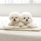 Bambi Cooling Pouch (2 sizes)