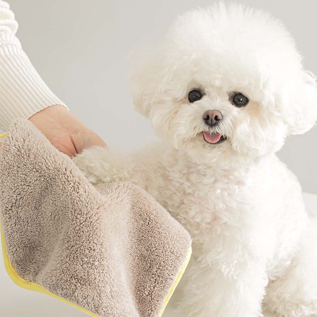 DRY ME Microfiber Towel (Mini SIze | 2 pcs)