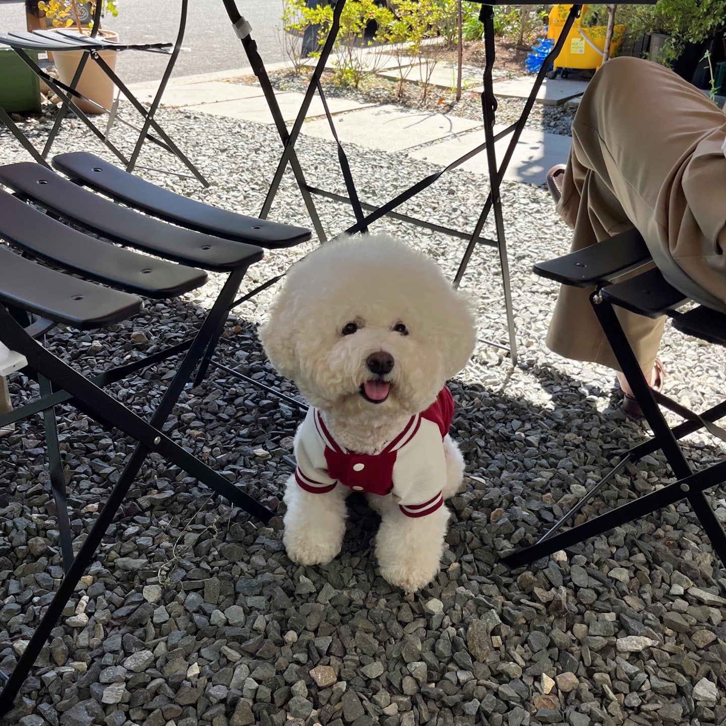 韓國大學棒球褸