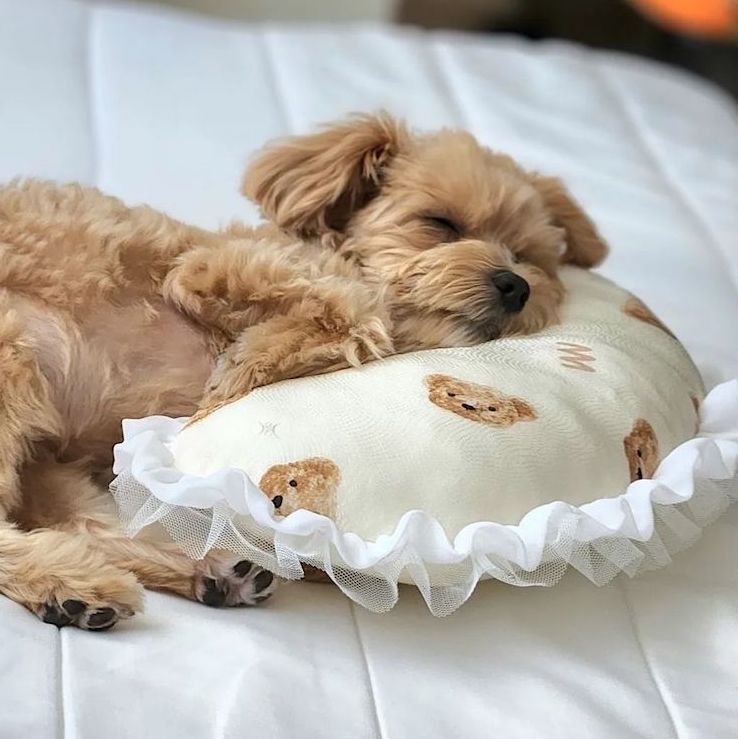Cooling Half Moon PIllow