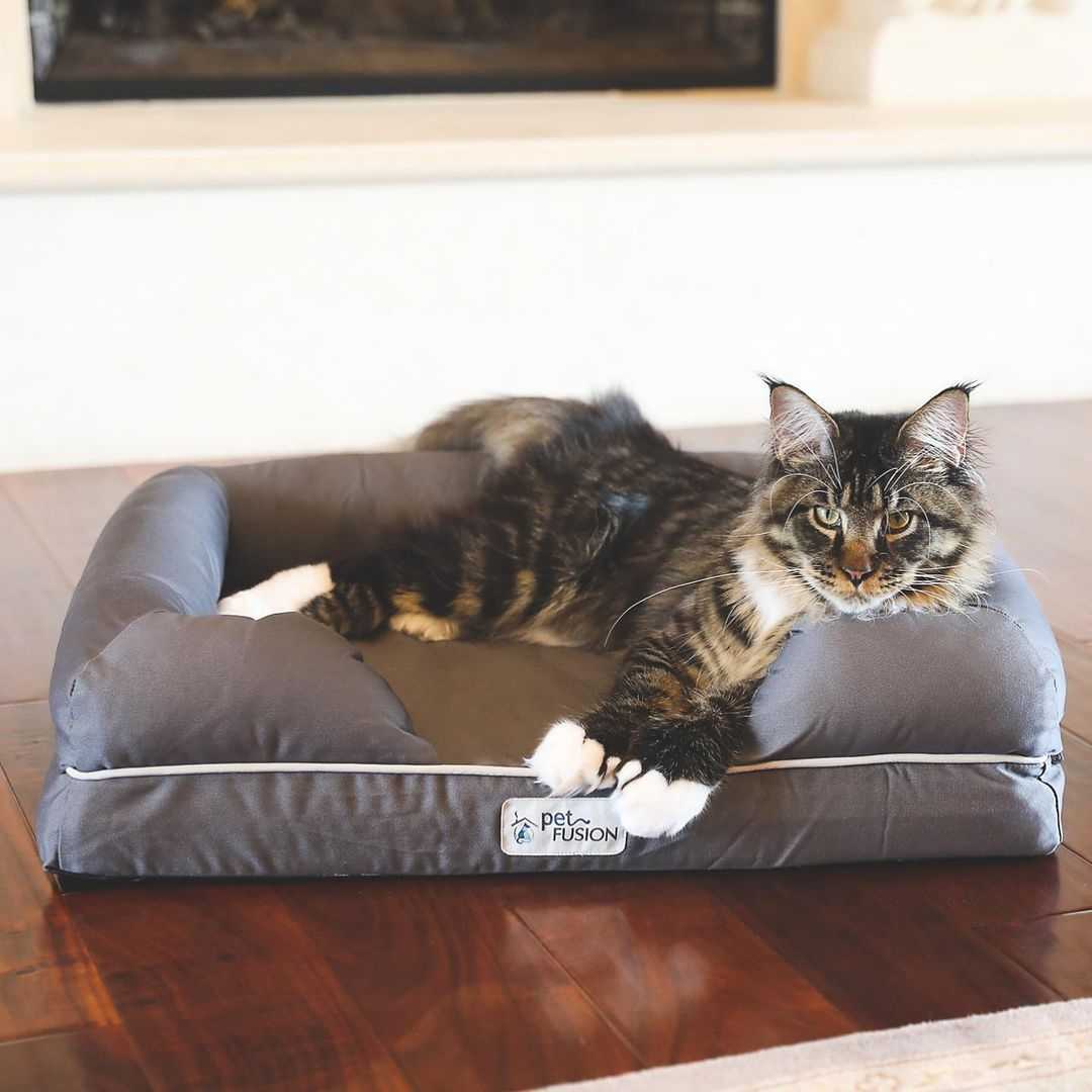 PetFusion Ultimate Dog Bed with Orthopedic Memory Foam