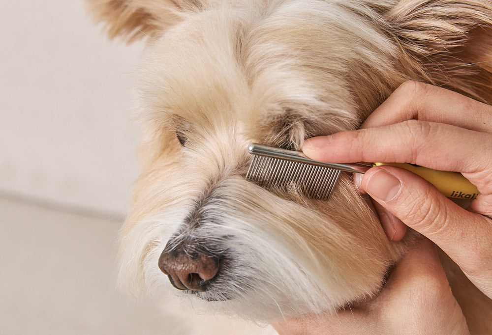 便攜迷你面毛梳