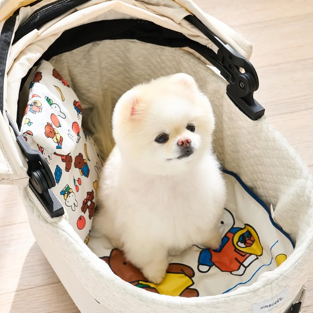Miffy水果農場冰袋套 (2個尺碼－新出大SIZE!)