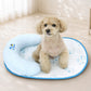 Snoopy Air Mesh Cooling Mat Snoopy透氣涼感墊 | 附枕頭設計 | 枕頭可固定在墊上或拆出單獨使用