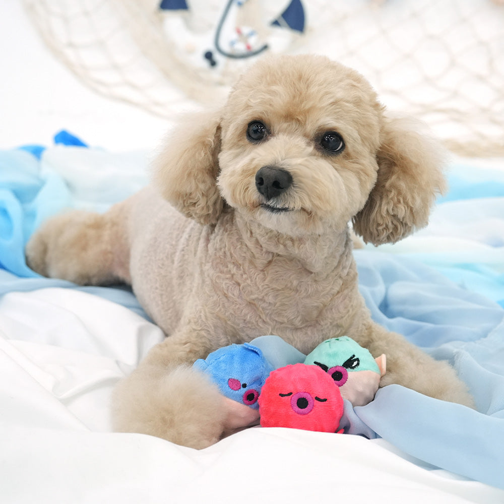 海洋布包咇咇波玩具