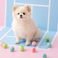 BITE ME | Sanrio Tennis Toy Ball Set 小網球玩具 | 有咇咇 | 一套3粒