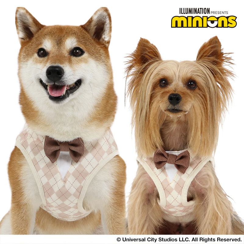 Minion Tim煲呔胸帶