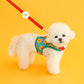 Ice Popping Leash