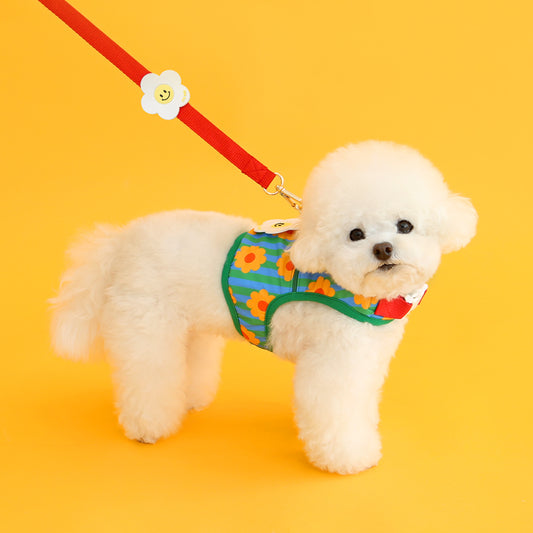 Ice Popping Leash