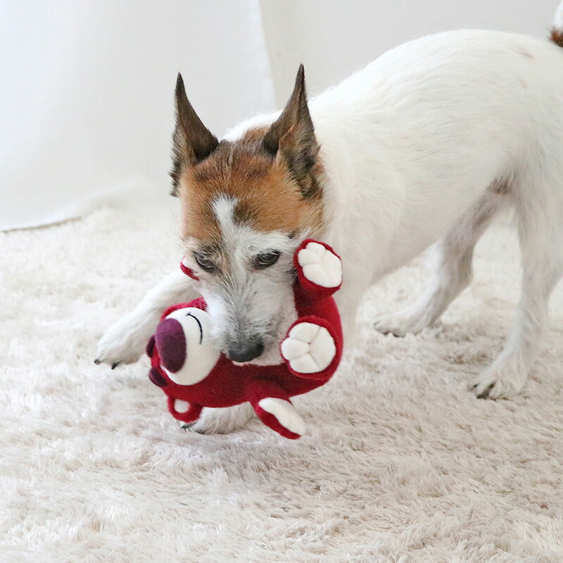 PET PARADISE | Lotso Toy