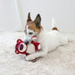 PET PARADISE | Lotso Toy