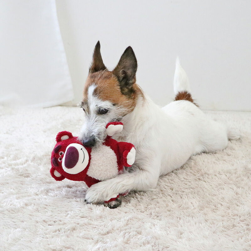 PET PARADISE | Lotso Toy